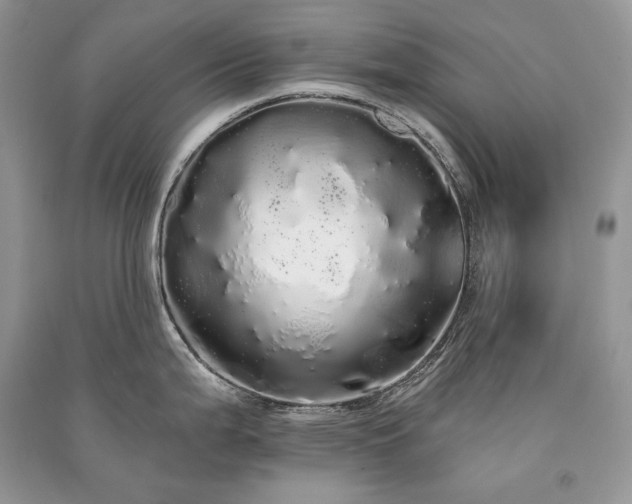 X0000091091199200708131313