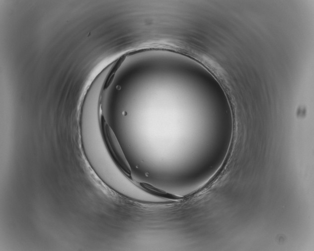 X0000091091200200708131312