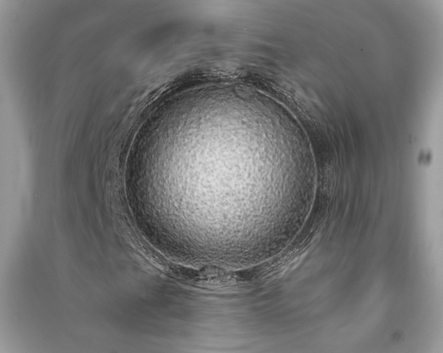 X0000091091201200708131312
