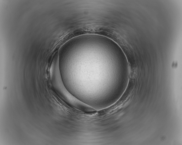 X0000091091202200708131312