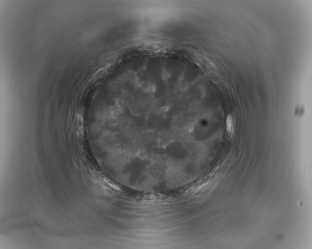 X0000091091203200708131312