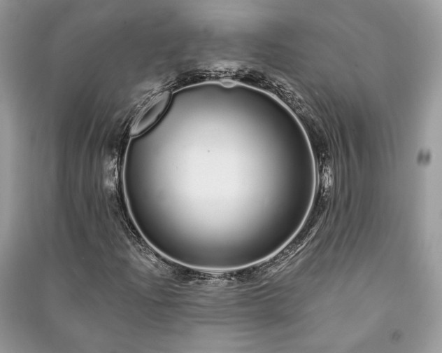 X0000091091204200708131312