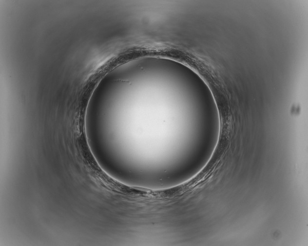 X0000091091205200708131312