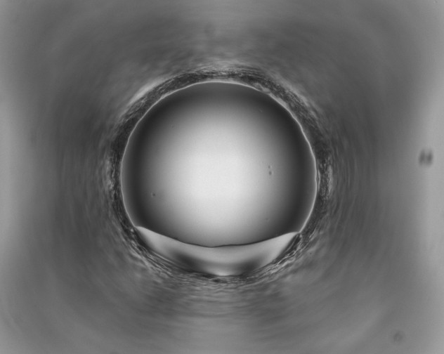 X0000091091206200708131312