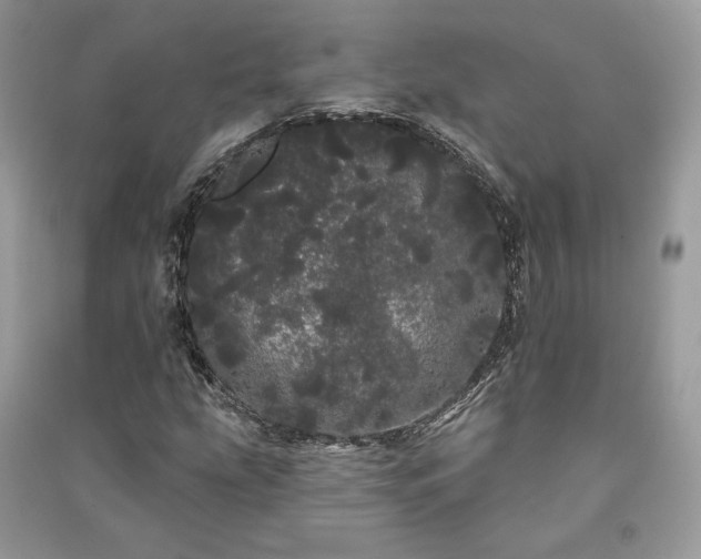 X0000091091207200708131312
