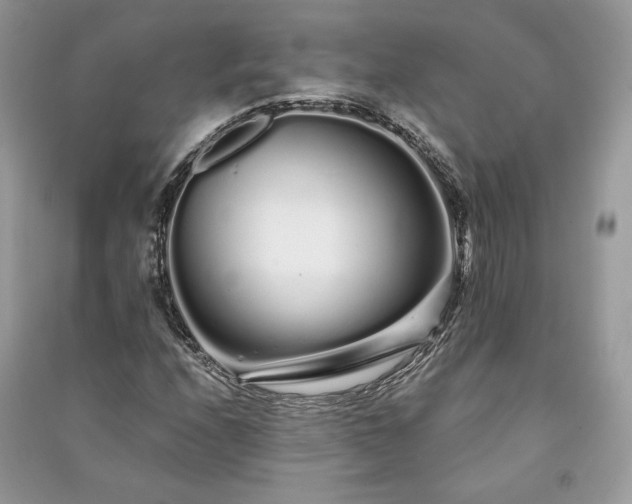 X0000091091208200708131312