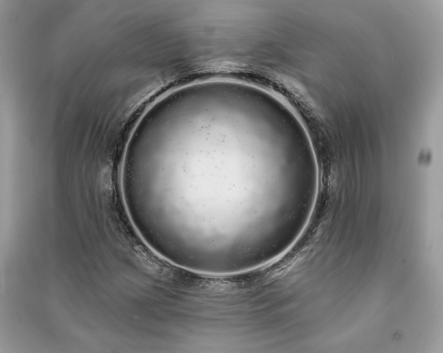 X0000091091209200708131312