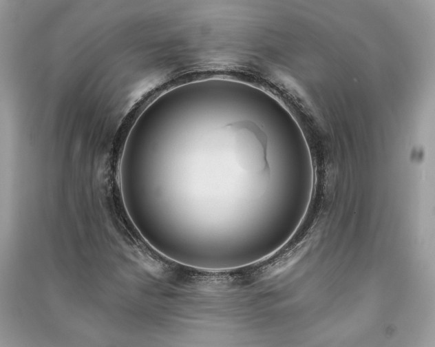 X0000091091210200708131312