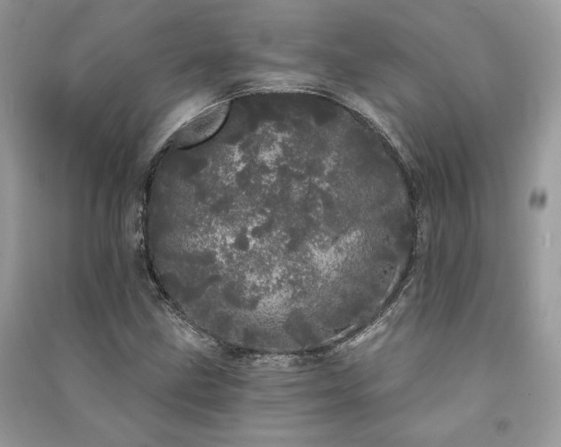 X0000091091211200708131312