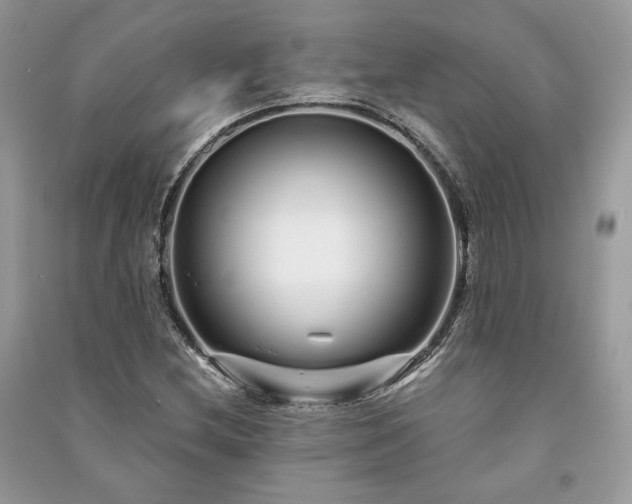 X0000091091212200708131312
