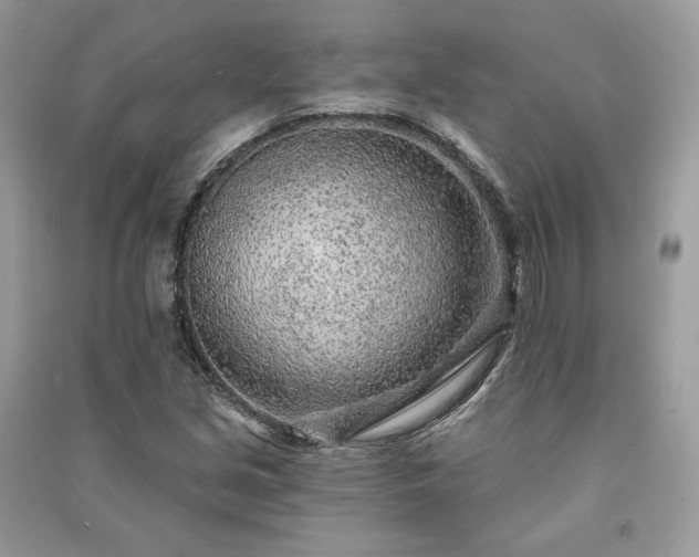 X0000091091213200708131312