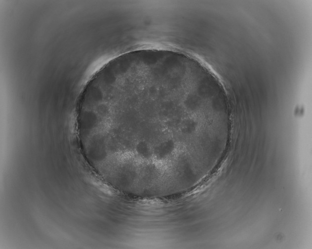 X0000091091215200708131312