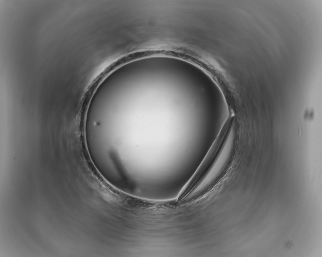 X0000091091216200708131312