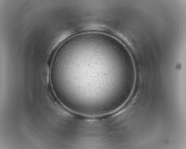 X0000091091219200708131312