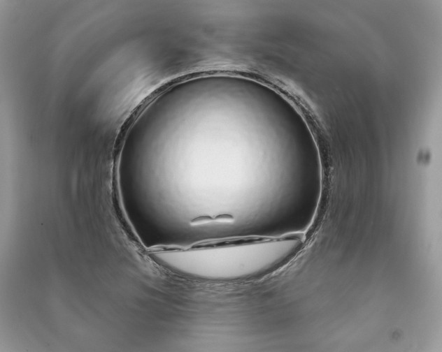 X0000091091220200708131312