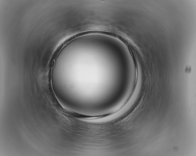 X0000091091222200708131312