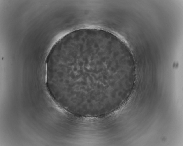 X0000091091223200708131312