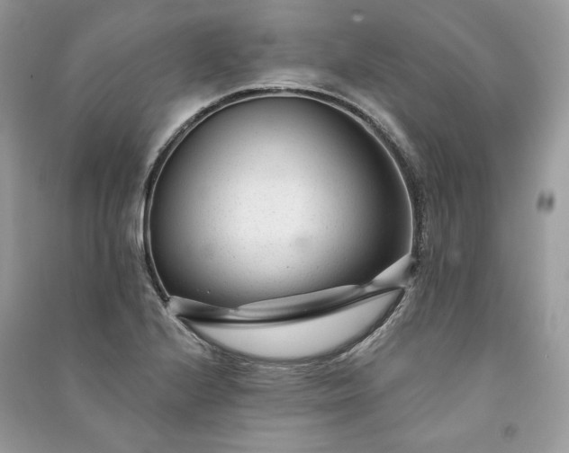X0000091091224200708131312