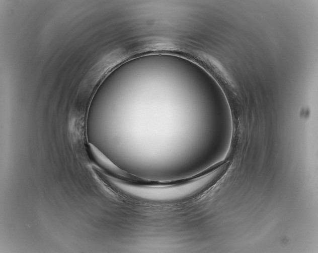 X0000091091225200708131312