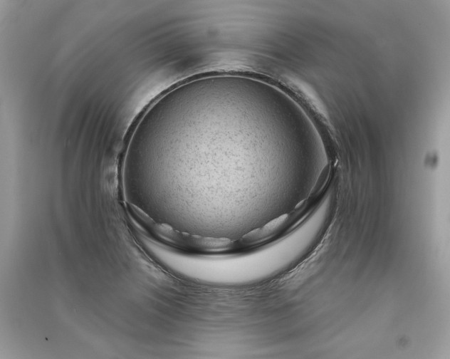 X0000091091226200708131312