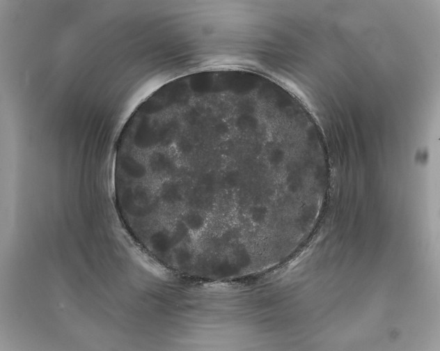 X0000091091227200708131312