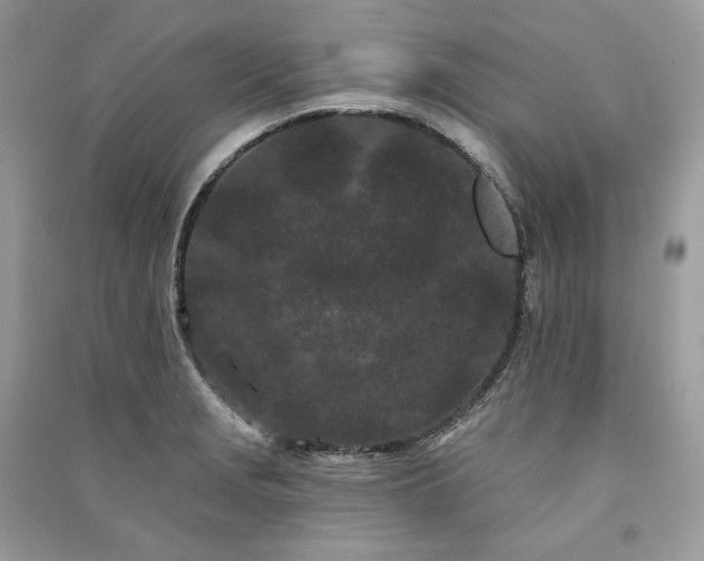 X0000091091229200708131312