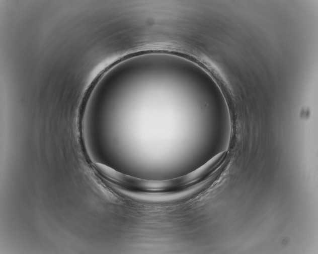 X0000091091230200708131312