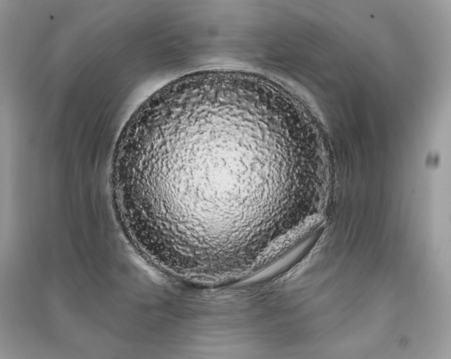 X0000091091231200708131312