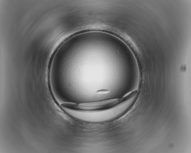 X0000091091232200708131312