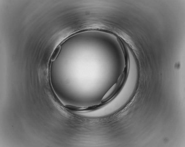 X0000091091234200708131312