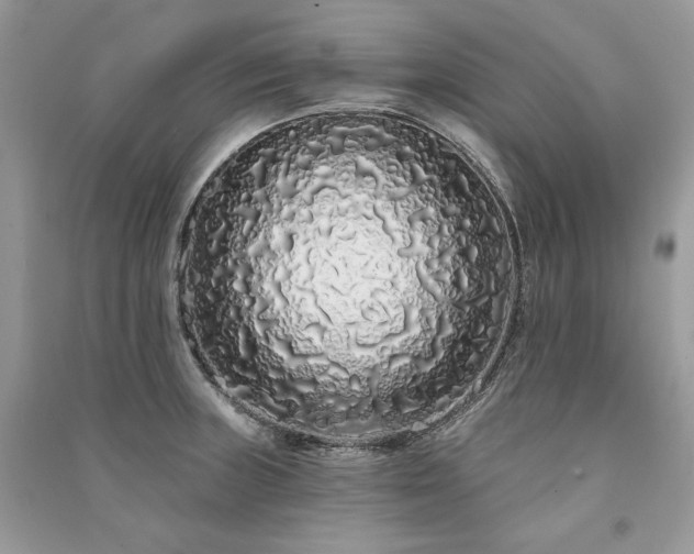 X0000091091235200708131312