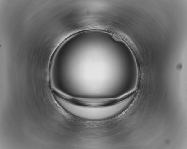X0000091091236200708131312