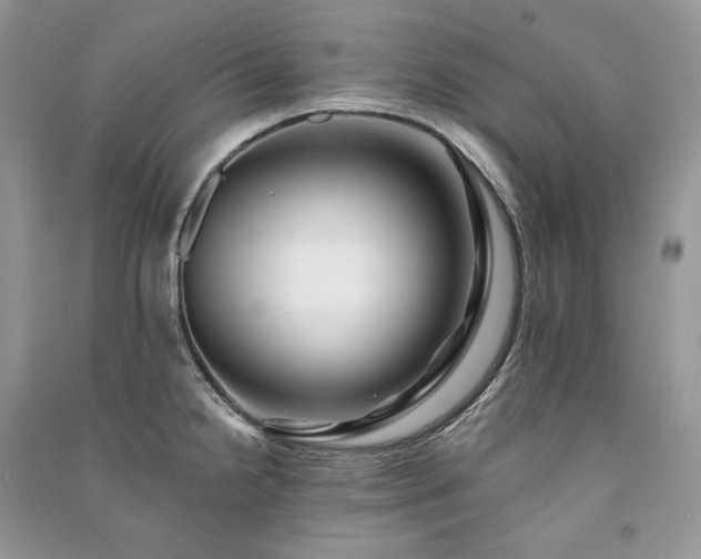 X0000091091238200708131312