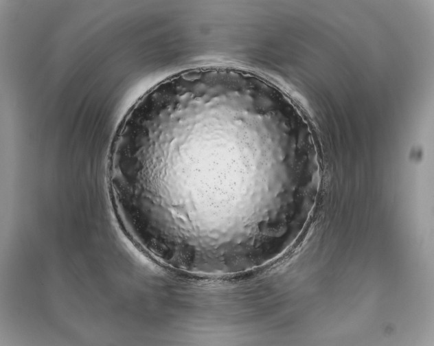 X0000091091239200708131312