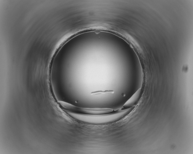 X0000091091240200708131312