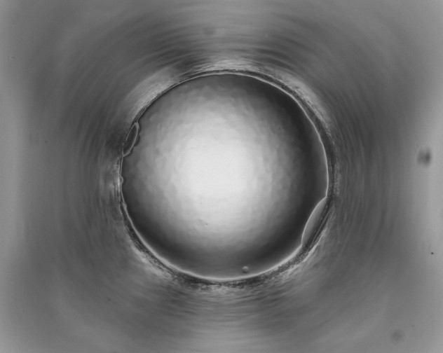 X0000091091241200708131312