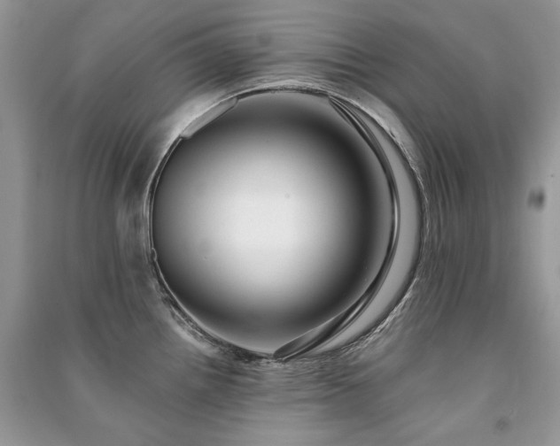 X0000091091242200708131312