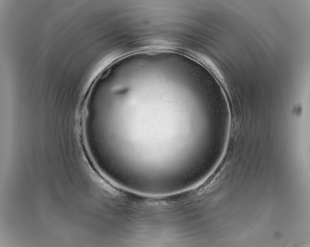 X0000091091243200708131312