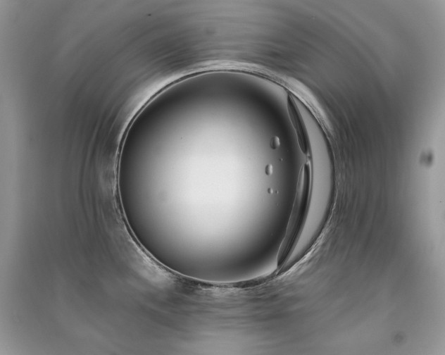 X0000091091244200708131312