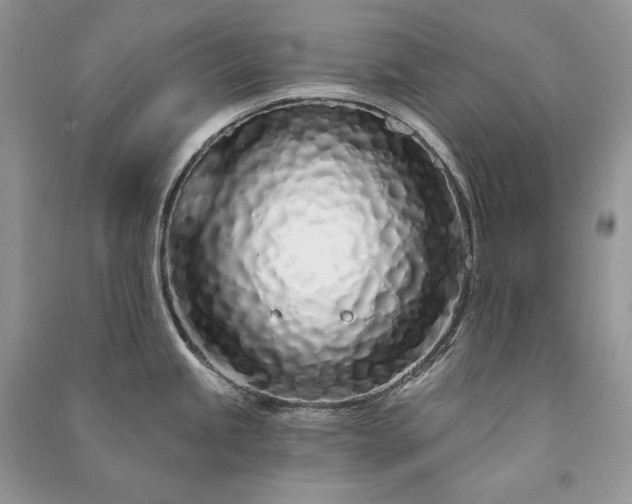 X0000091091245200708131312