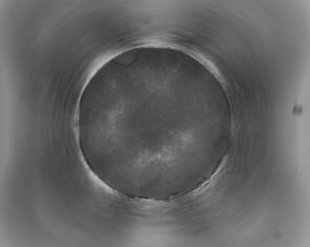 X0000091091247200708131312