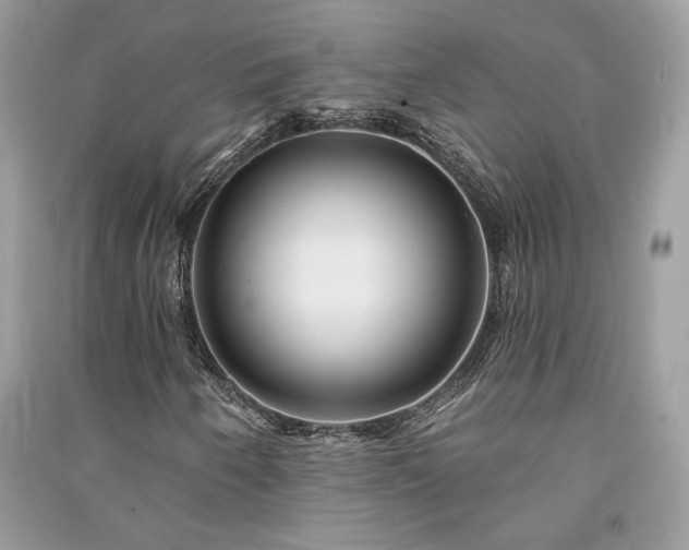 X0000091091250200708131312