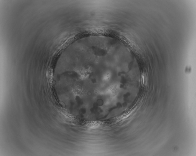 X0000091091251200708131312
