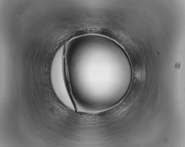 X0000091091252200708131312