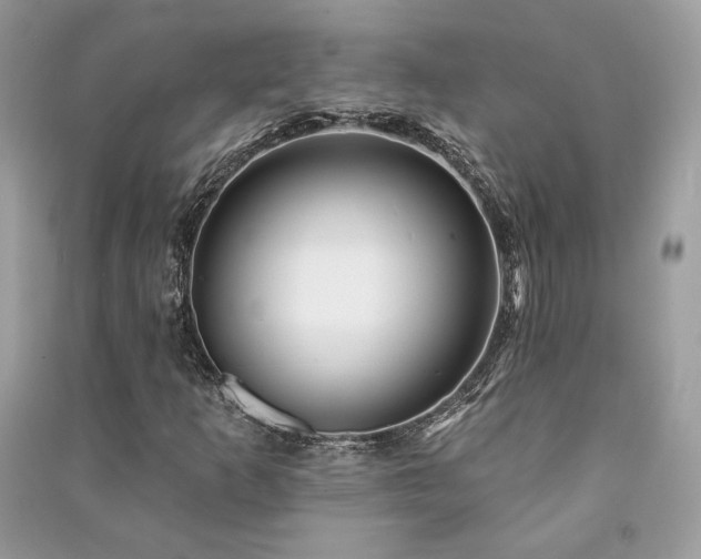 X0000091091253200708131312