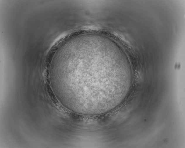 X0000091091254200708131312