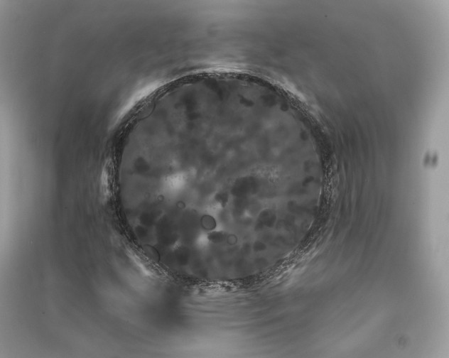 X0000091091255200708131312