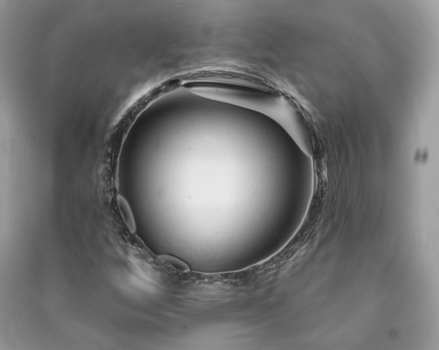 X0000091091256200708131312