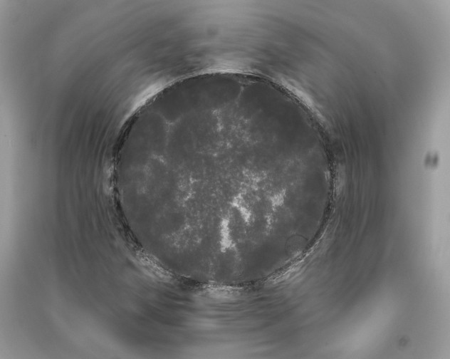 X0000091091258200708131312