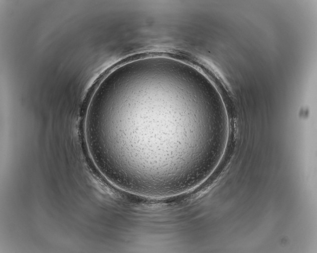 X0000091091260200708131312